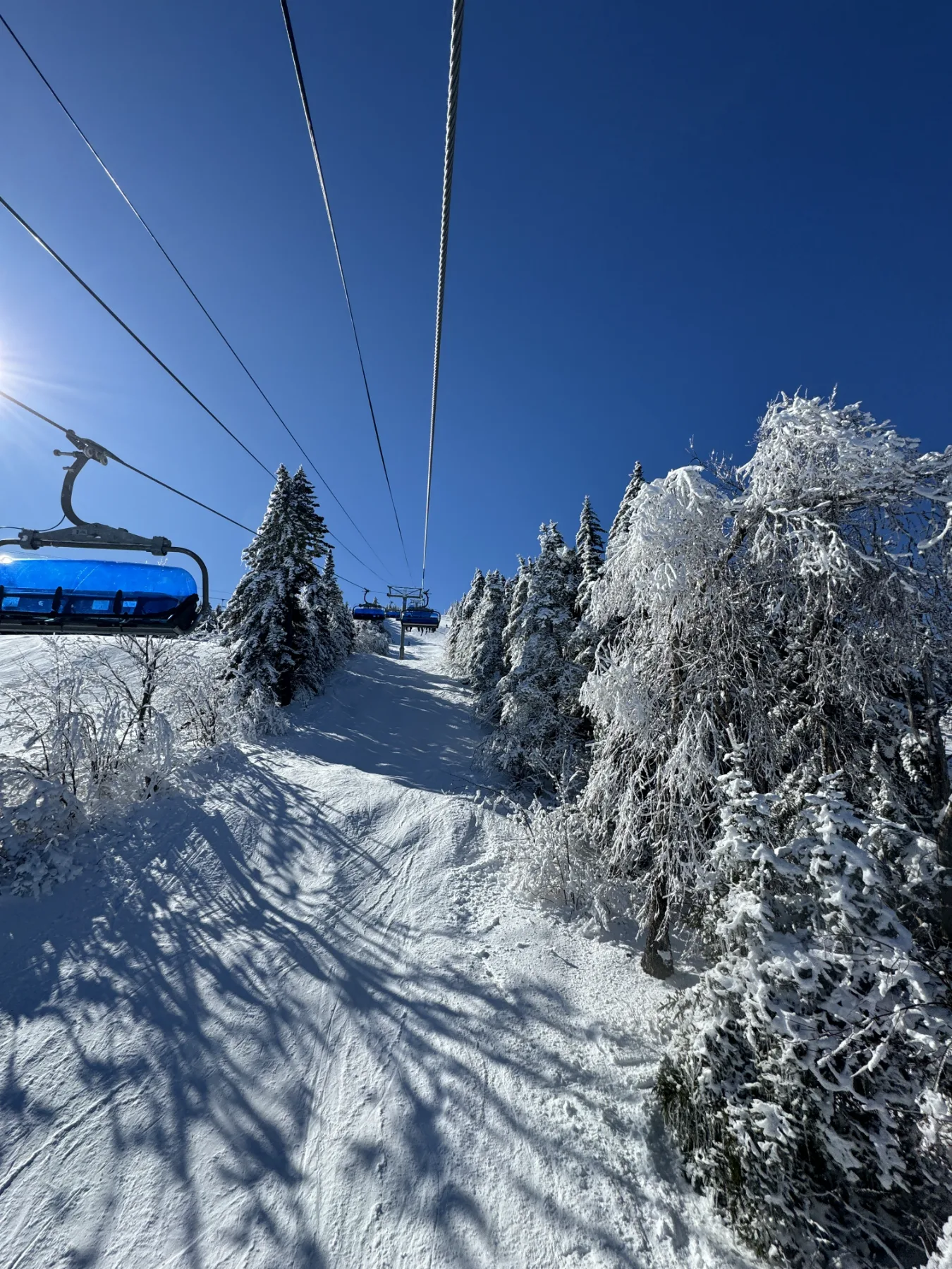 A chairlift rising over snow-covered trees at Stratton on a bluebird day