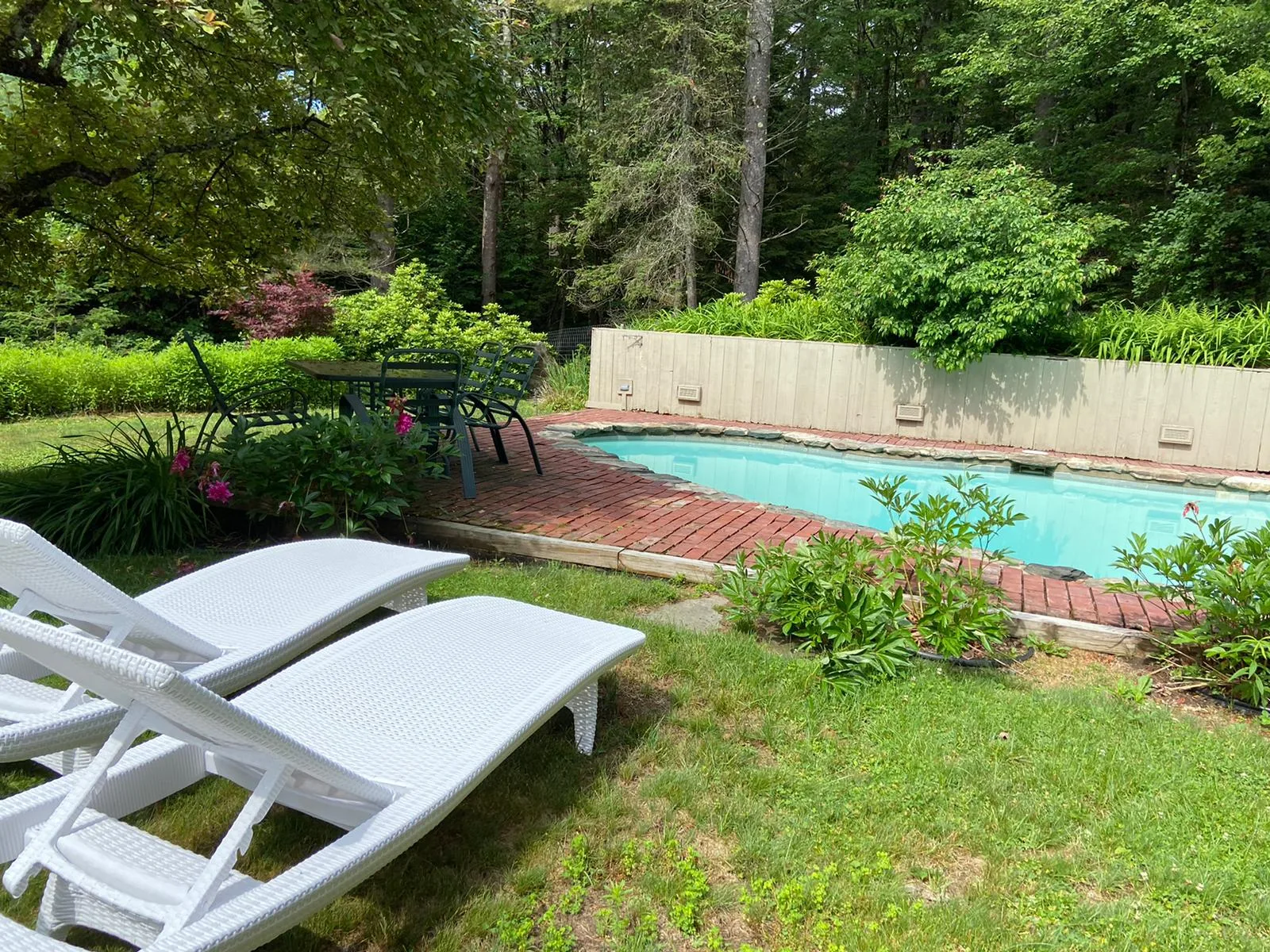 Loungers beside the pool, garden and pines beyond